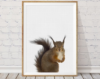 Squirrel Nursery Print, Woodland Animals Art (Digital Download)