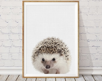 Hedgehog Nursery Print, Modern Animal Wall Decor (Digital Download)
