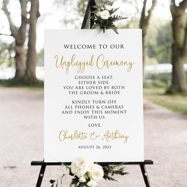 Unplugged Wedding Sign, Choose a Seat Either Side You're loved by both the Groom & Bride, Unplugged Ceremony Sign, Digital File, W1127