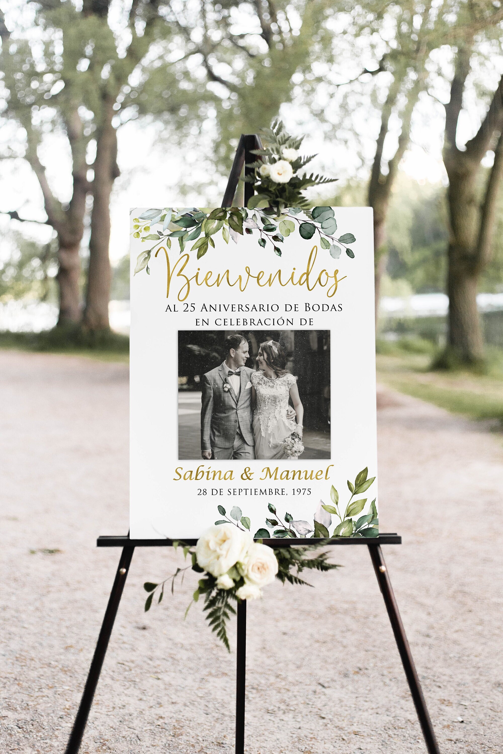 Bienvenidos al 25 Aniversario de Bodas, Photo Anniversary Welcome sign, 25th Anniversary, Spanish Anniversary Sign, Digital File, W1128D