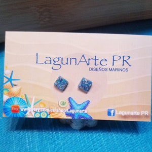 May include: A pair of square blue and white glitter earrings with a white card behind them that says "LagunaArte PR DISEÑOS MARINOS" and has a Facebook logo with the text "LagunaArte PR" and a website address.