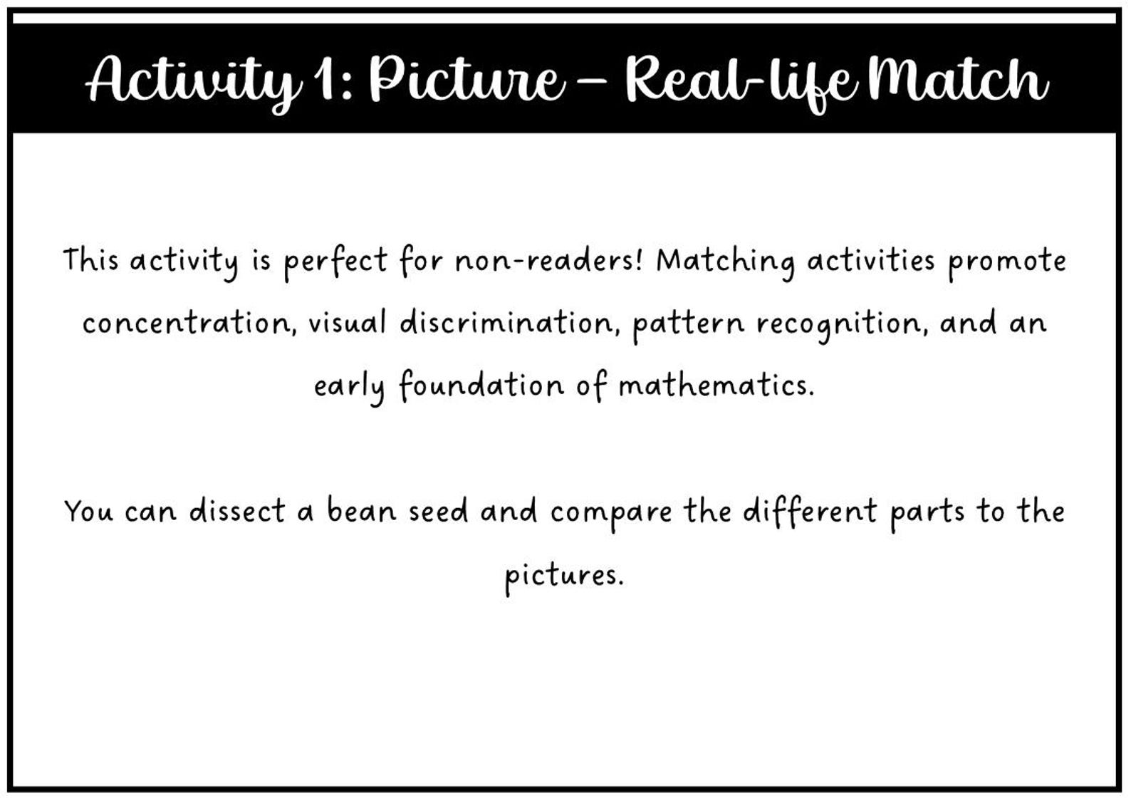Parts of a Root Montessori 3 and 4 Part Cards - Etsy