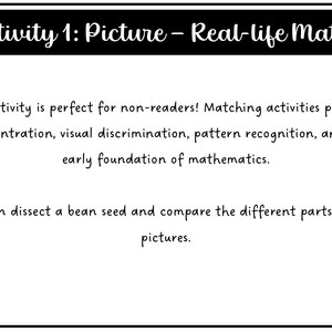 Parts of a Root Montessori 3 and 4 Part Cards - Etsy