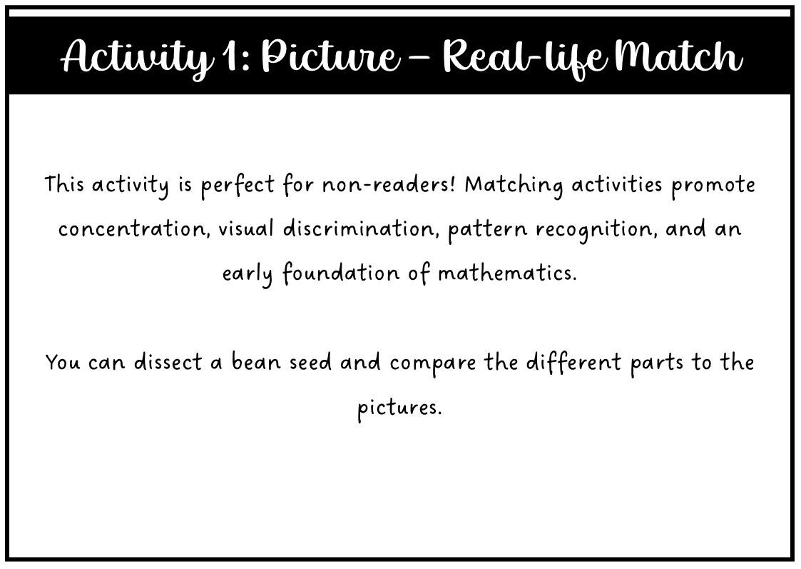 Parts of a Root Montessori 3 and 4 Part Cards - Etsy