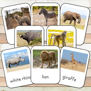 Schede Montessori Toob del Sud Africa [MODIFICABILI]