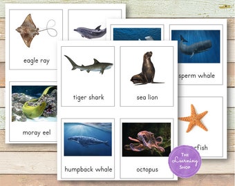 Coral Reef Safari Toob Montessori 3-part Cards -- Coral Reef Toob ...
