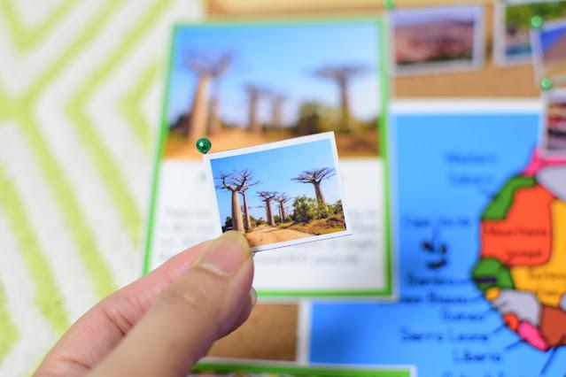 Landmarks of Africa Montessori 3 Part Cards and Fact Cards - Etsy