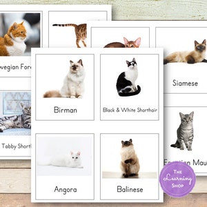 Tarjetas Montessori Cats de 3 partes (Safari Toob)