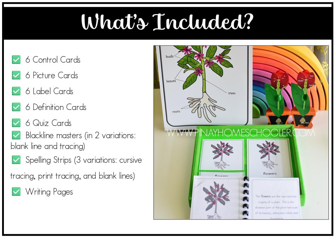 Parts of a Plant Montessori 3 and 4 Part Cards - Etsy