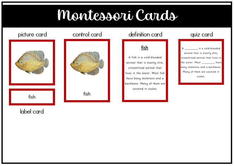 Parts of a Fish Montessori 3 Part Cards - Etsy