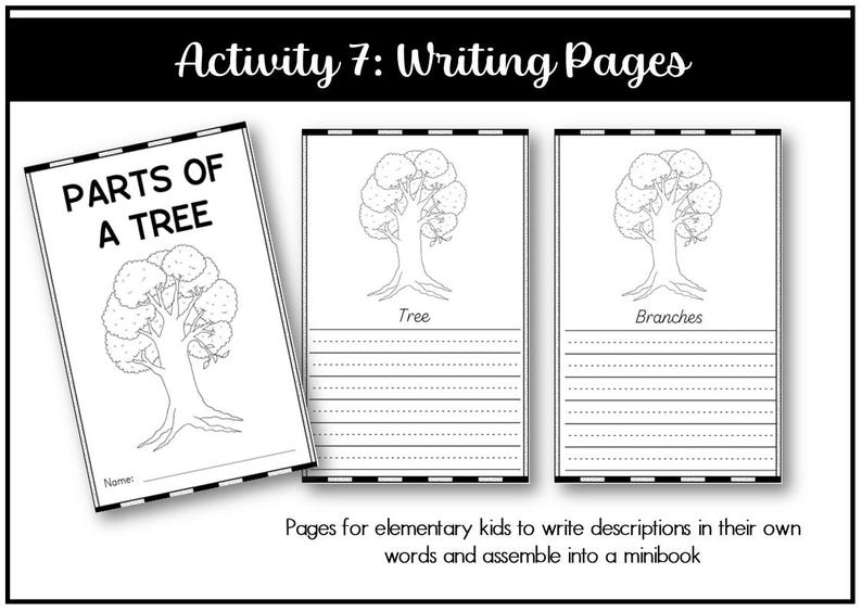 Parts of a Tree Montessori 3 and 4 Part Cards - Etsy