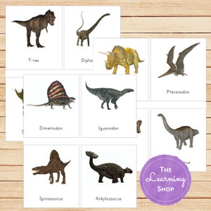 Tarjetas Montessori de dinosaurios en 3 partes