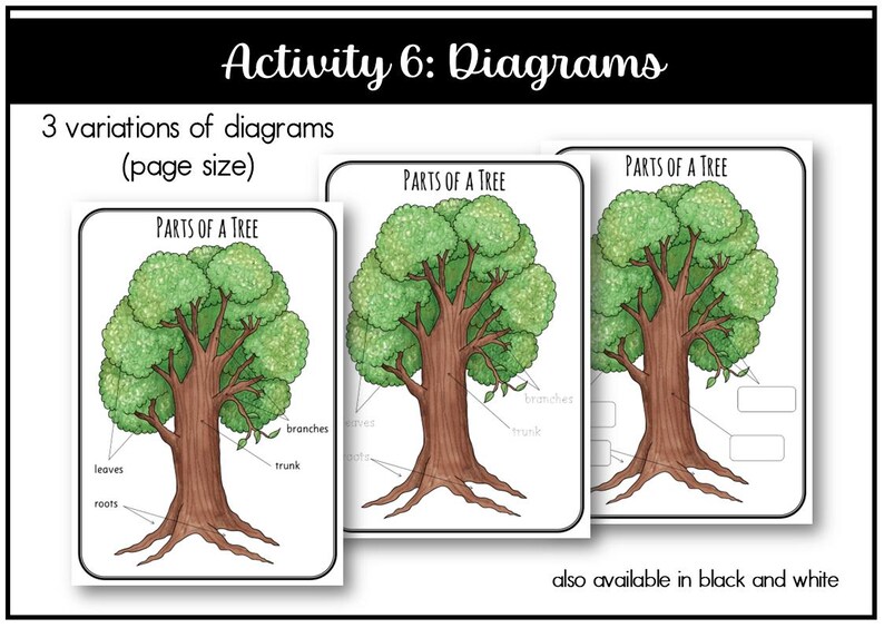 Parts of a Tree Montessori 3 and 4 Part Cards - Etsy