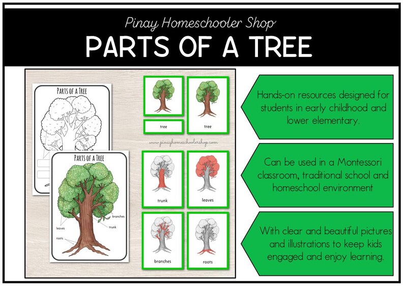 Parts of a Tree Montessori 3 and 4 Part Cards - Etsy