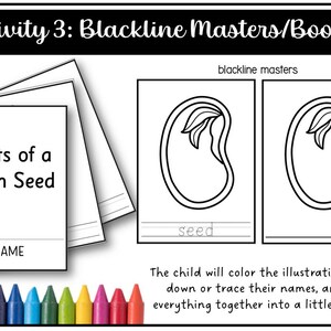 Parts of a Bean Seed Montessori 3 and 4 Part Cards - Etsy
