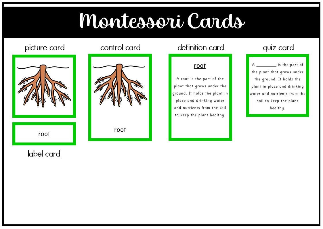 Parts of a Root Montessori 3 and 4 Part Cards - Etsy