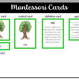Parts of a Tree Montessori 3 and 4 Part Cards - Etsy