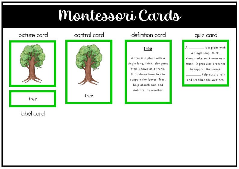 Parts of a Tree Montessori 3 and 4 Part Cards - Etsy
