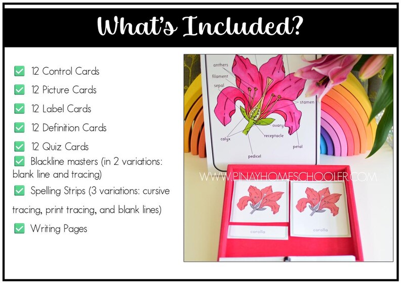 Parts of a Flower Montessori 3 and 4 Part Cards - Etsy