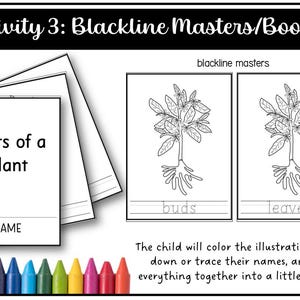 Parts of a Plant Montessori 3 and 4 Part Cards - Etsy
