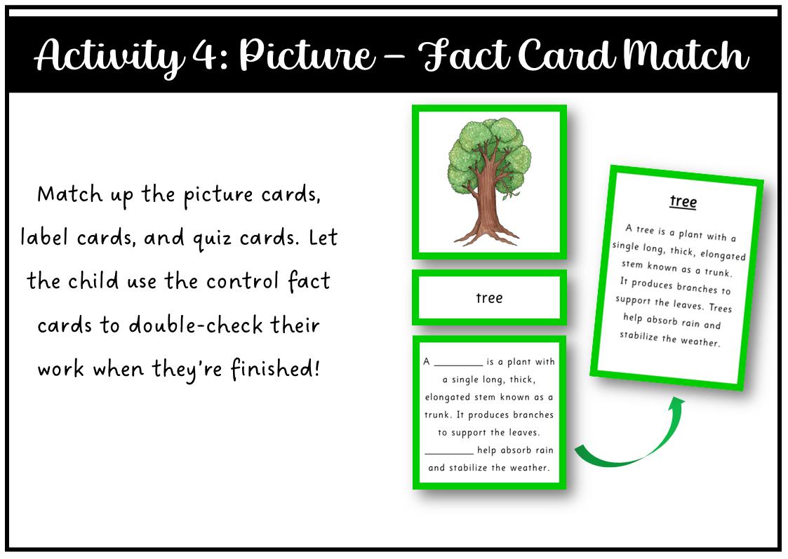 Parts of a Tree Montessori 3 and 4 Part Cards - Etsy