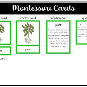 Parts of a Plant Montessori 3 and 4 Part Cards - Etsy
