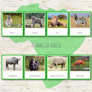 Animals of Africa Montessori 3 Part Cards with Fact Cards