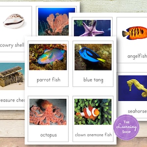 Tarjetas Montessori de arrecife de coral de 3 partes (Safari Toob)