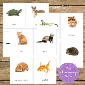 Tarjetas Montessori de 3 partes sobre mascotas
