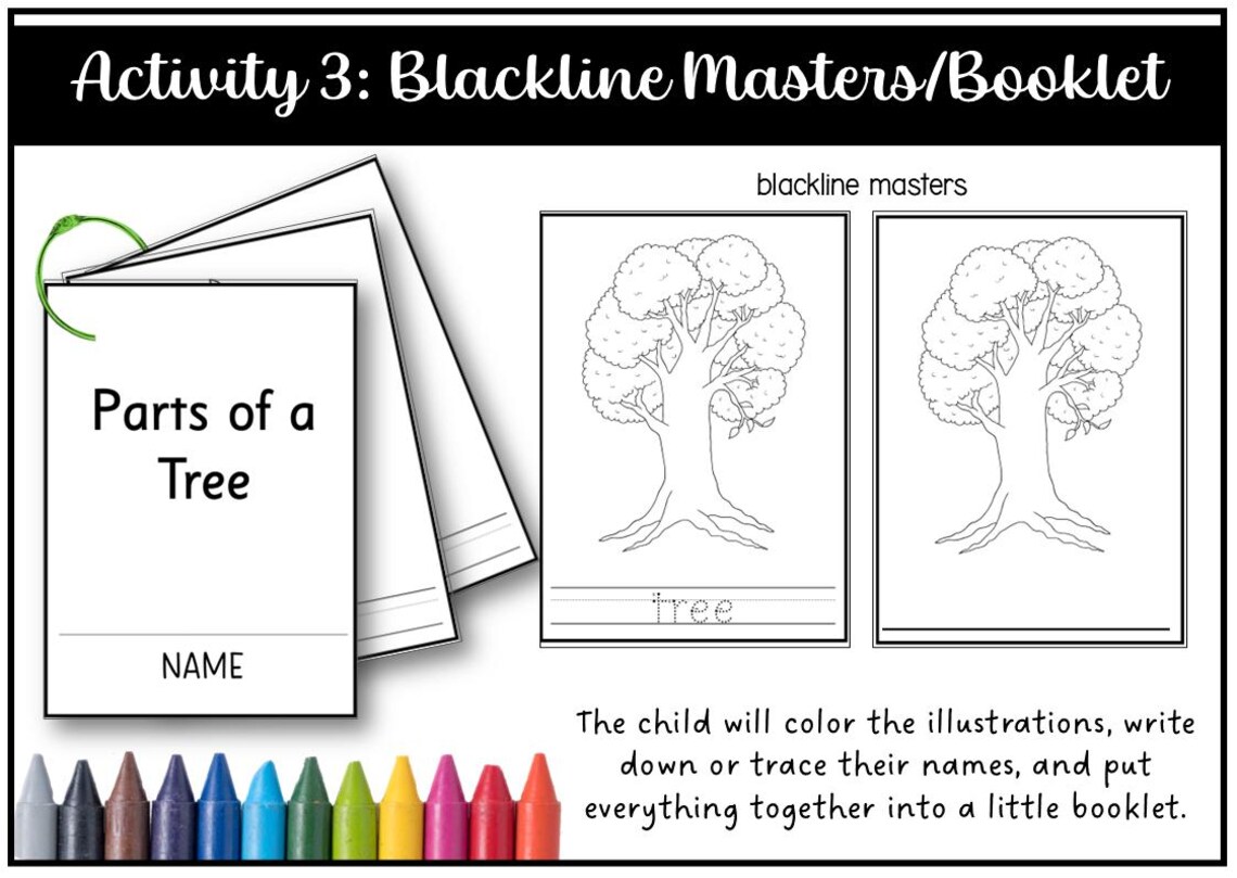 Parts of a Tree Montessori 3 and 4 Part Cards - Etsy