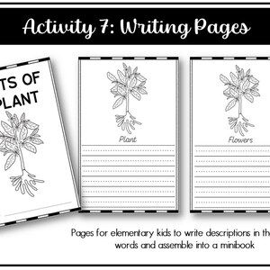 Parts of a Plant Montessori 3 and 4 Part Cards - Etsy