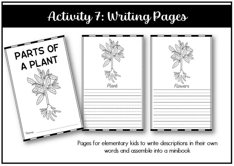 Parts of a Plant Montessori 3 and 4 Part Cards - Etsy