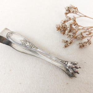 Pode incluir: Uma pinça de açúcar prateada com detalhes florais ornamentados. As pinças têm uma alça curva e uma extremidade de preensão em forma de garra. O design inclui padrões florais em relevo e enfeites decorativos. Um raminho de flores secas está presente.