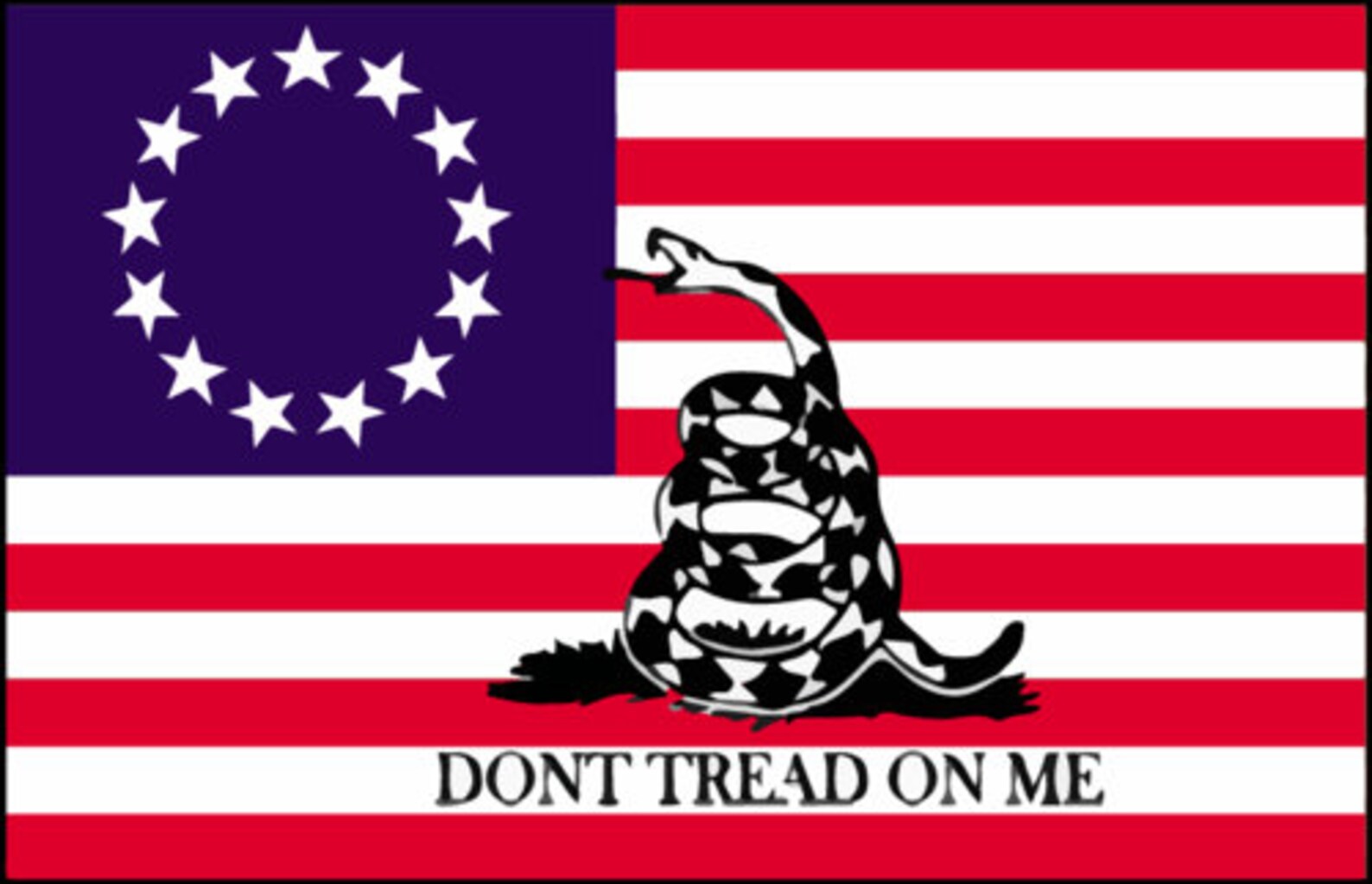 KENPMA Gadsden Lot de 4 drapeaux américains – 2nd Amendment