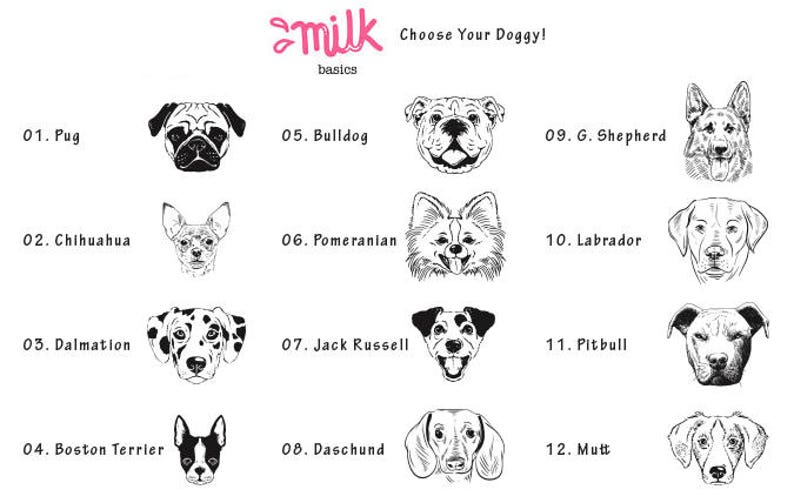 Best Friends Dog Onesie Puppy Onesie Dog Lover Pug Etsy