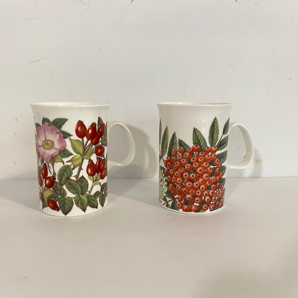 Dunoon Hedgerow Fruits Mug | Dunoon Rowan Mug | Dunoon Rose Hip Mug | Rowan Dunoon | Dunoon Kathy Pickles | Rowan | Rowan Mug | Rose Hip Mug