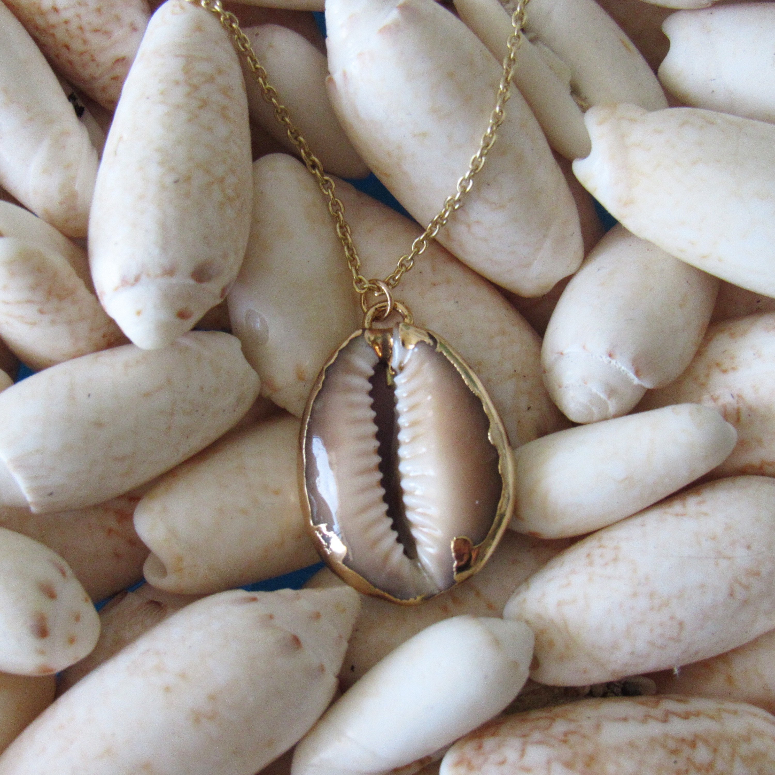 Gold Dipped Cowry Shell Necklace | Ocean | Sea | Jewelry With Meaning ...