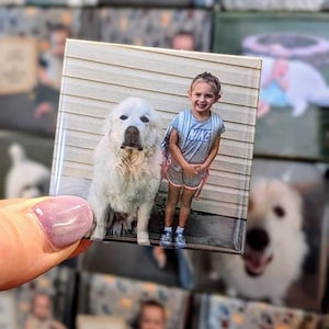May include: Square photo magnet featuring a girl and a large white dog. The girl wears a gray Nike t-shirt and shorts. The dog is a fluffy white breed. Other photo magnets are visible in the background.