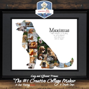 Golden Retriever Art | Golden Doodle | Golden Retriever Photo Collage | Dog Wall Art | Dog Memorial | Pet Loss | Dog Poster | Custom Collage