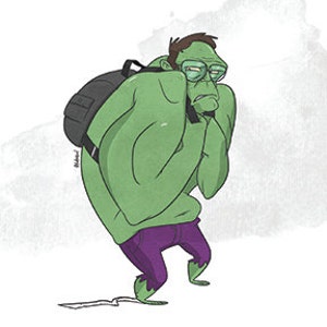 Heroes to Zeroes: Hulk (Original The Incredible Hulk Art) 8x10&quot; Print, Wall Art, Ready to Frame