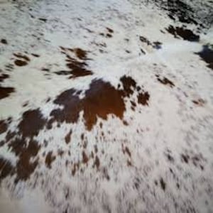 May include: A close-up of a cowhide rug with a natural pattern. The rug features a mix of white, brown, and black spots, creating a unique and organic design. The texture appears soft and inviting.