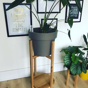 May include: A tall wooden plant stand with four vertical legs and a circular lower shelf, supporting a large, matte grey cylindrical pot. The pot contains an Alocasia zebrina plant with long, slender, patterned stems and large, dark green leaves.