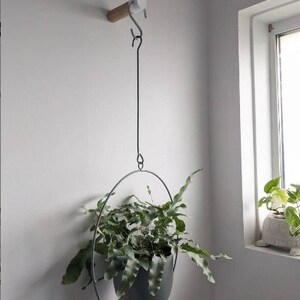 May include: A gray hanging planter with a green fern plant inside. The planter is suspended from a metal hook attached to a wooden wall mount.