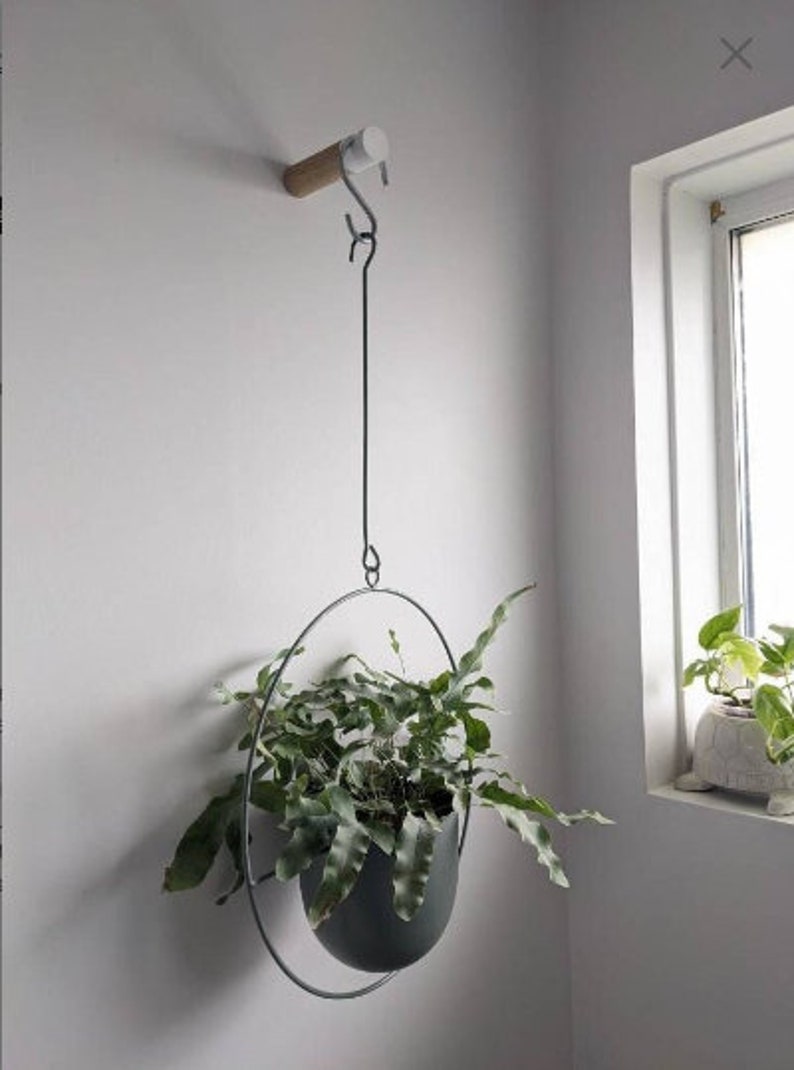 May include: A gray hanging planter with a green fern plant inside. The planter is suspended from a metal hook attached to a wooden wall mount.