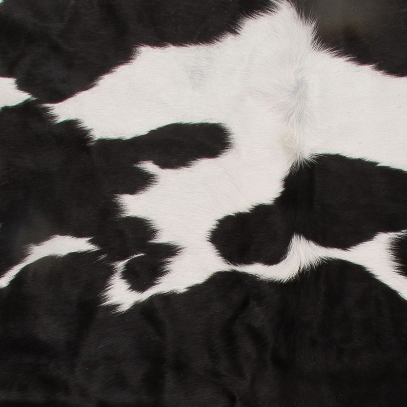 May include: A close-up of a cowhide rug with a distinctive black and white pattern. The natural hide features irregular black patches against a white background, creating a striking contrast. The texture of the fur is visible.