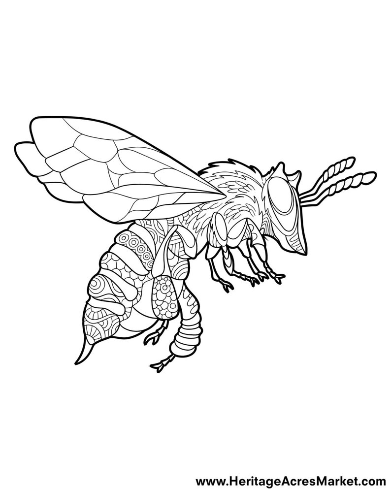 Download Bee Theme Adult Complicated Coloring Page PDF Digital Download | Etsy