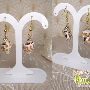 May include: A pair of seashell earrings with gold-colored accents. The earrings feature small, detailed seashells with a mix of white, brown, and gold tones, suspended from gold-colored hooks.
