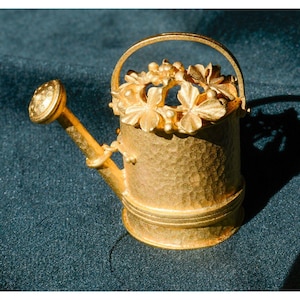 May include: A gold-colored watering can with a textured surface and a handle. The top of the can is adorned with floral and leaf details. The spout is on the left side of the can.