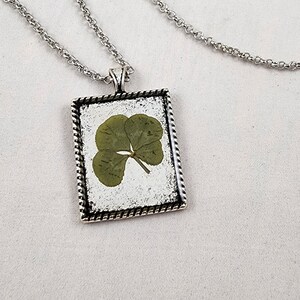 Genuine Lucky Four-Leaf Clover with Antique Silver-Color Necklace