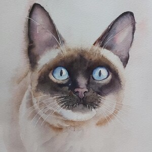 Chat siamois, chat, aquarelle de chat siamois, peinture de chat siamois, peinture de chat siamois, chat de race siamoise